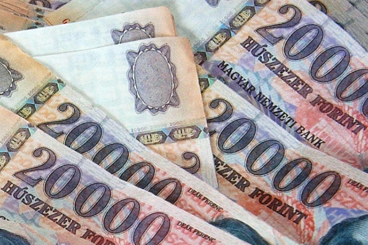 Két év alatt ötszörösére nőtt az öngondoskodó fiatalok aránya